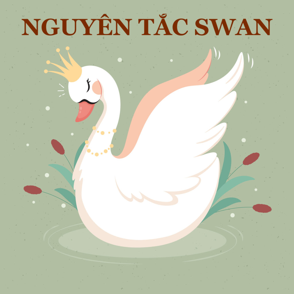 Nguyên tắc SWAN là gì? Áp dụng SWAN trong tuyển dụng thế nào?