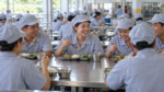 có nên đi làm khu công nghiệp